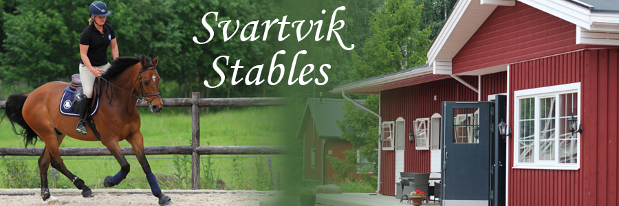 Svartvik Stables