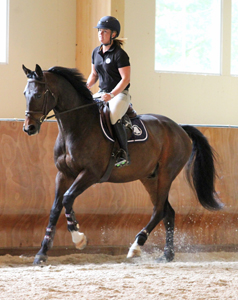 Svartvik Stables
