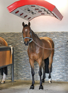 Solarium
