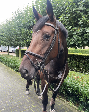 Special Louise de ME