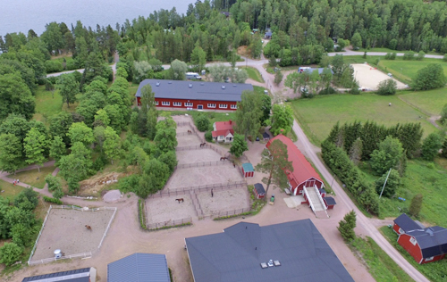Svartvik Stables