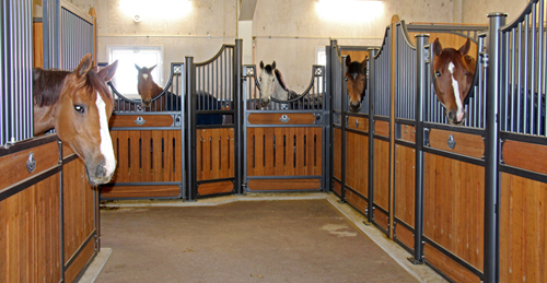 Svartvik Stables
